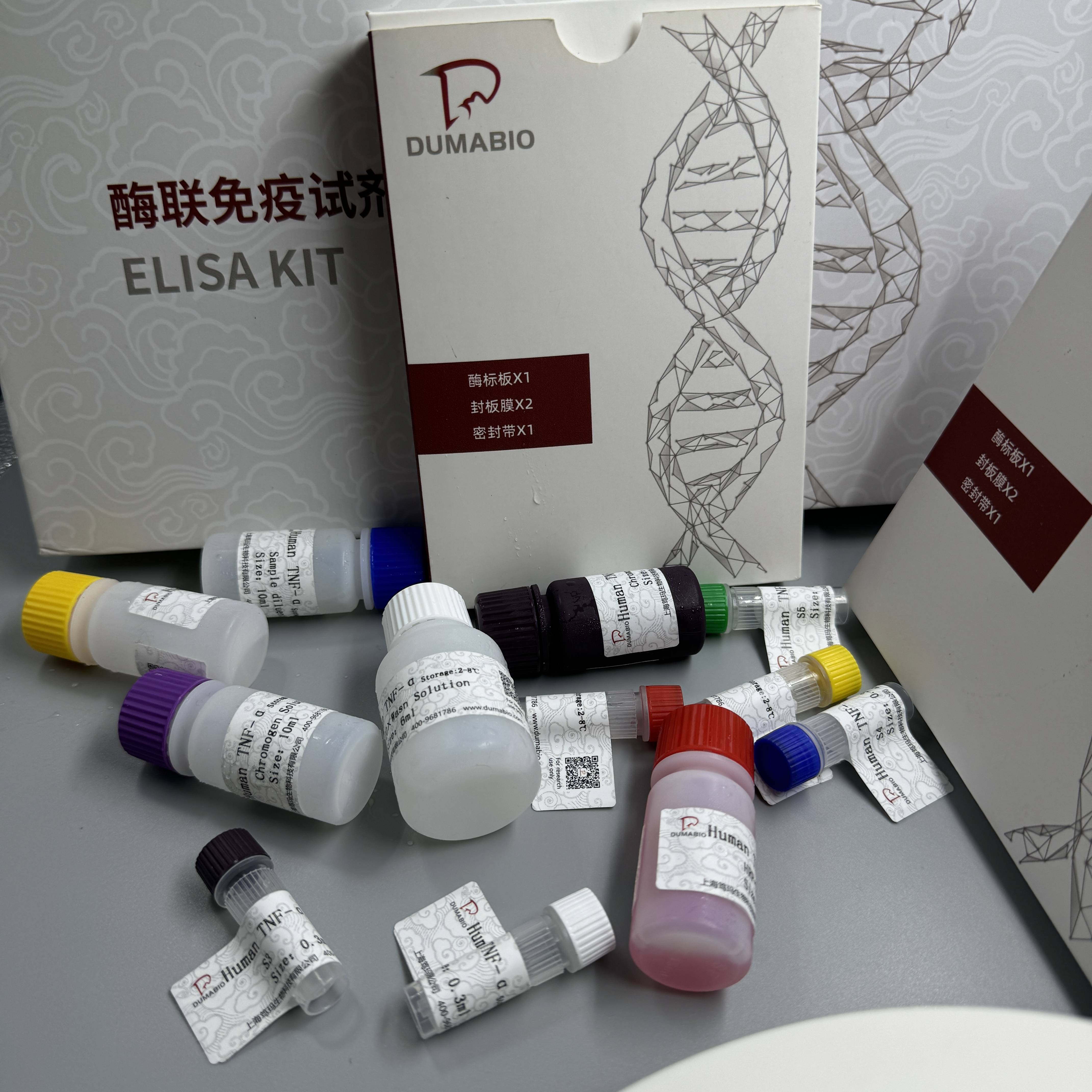 酶龔[(酶标是查什么的)